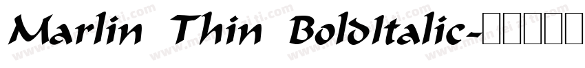 Marlin Thin BoldItalic字体转换